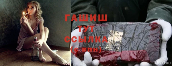 шишки Верхний Тагил