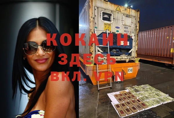 шишки Верхний Тагил