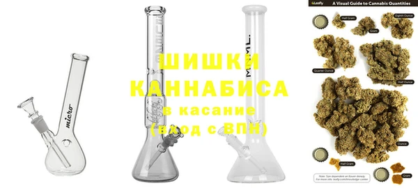 шишки Верхний Тагил