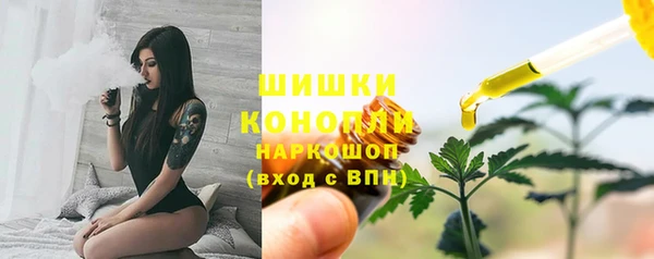 шишки Верхний Тагил