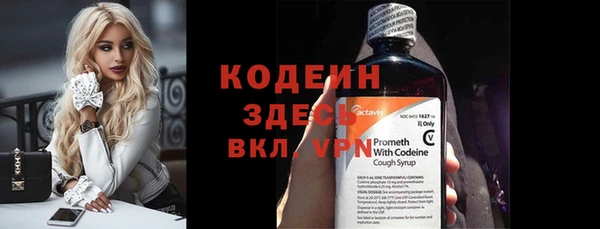 шишки Верхний Тагил