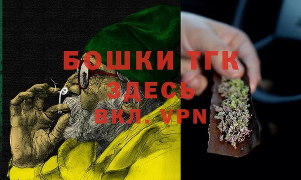 шишки Верхний Тагил