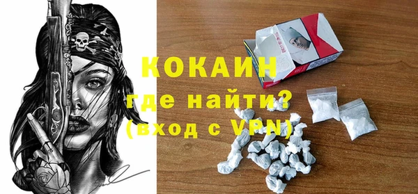 шишки Верхний Тагил