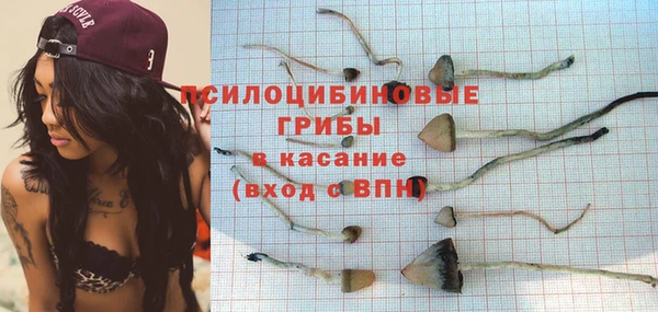 шишки Верхний Тагил