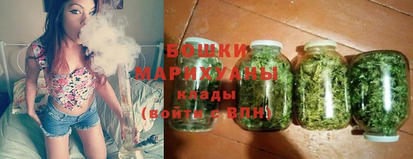 шишки Верхний Тагил