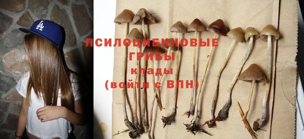 стаф Верхнеуральск